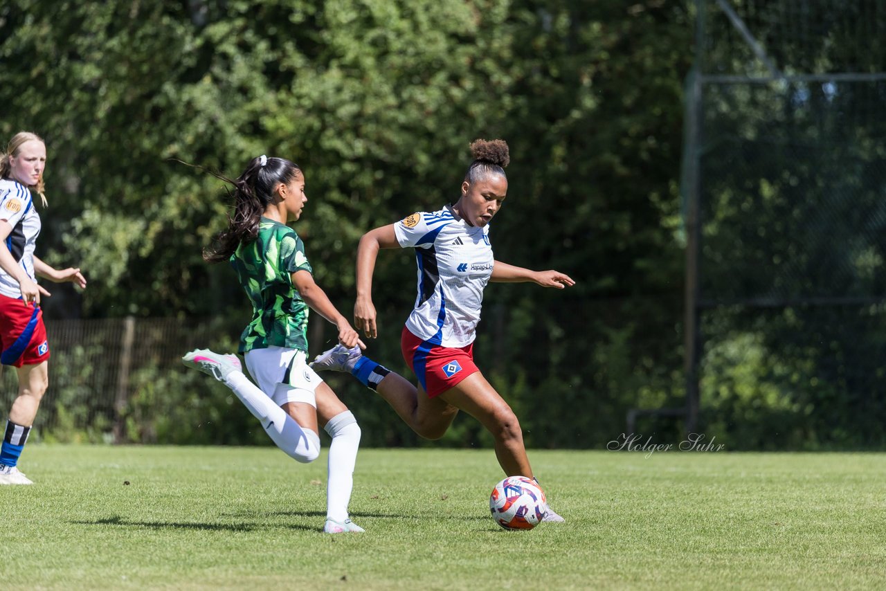 Bild 182 - wBJ Hamburger SV - VfL Wolfsburg : Ergebnis: 5:1
